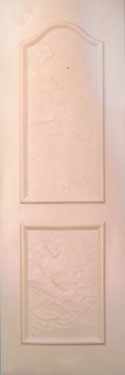 Fiber Main Door 
